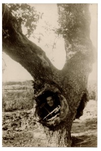 יהודה הורוביץ בעץ הבודד - קלסר 72 - 1931