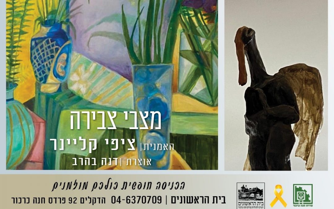 שיח גלריה ונעילה: "מצבי צבירה", ציפי קליינר