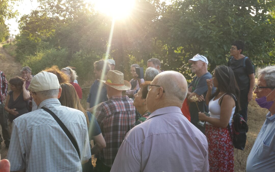 הצטרפו אלינו למפגש מהלך – ששי האחרון של ינואר